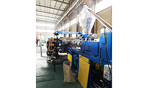 ����Ƭ�������ֳ�